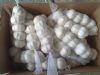 250grams pure white garlic